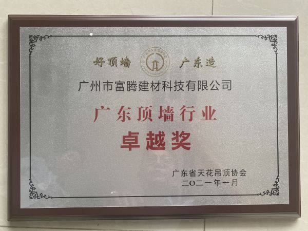 广东顶墙卓越奖